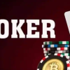 Mục Đích Của Việc Đặt Cược (Bet) Khi Chơi Bài Poker